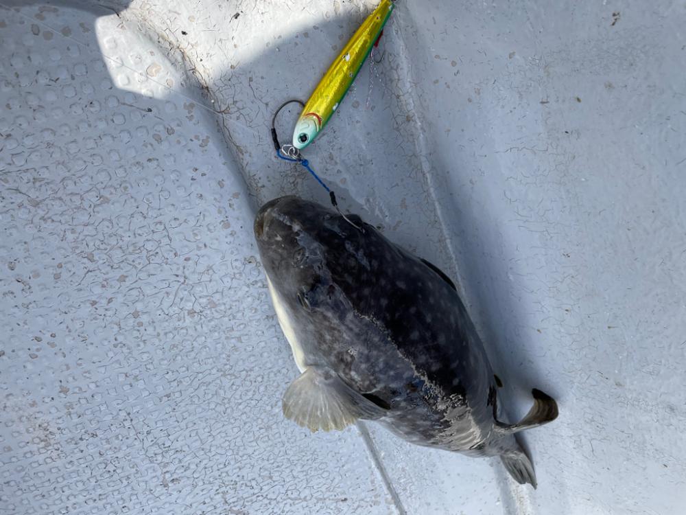 中深海ジギング