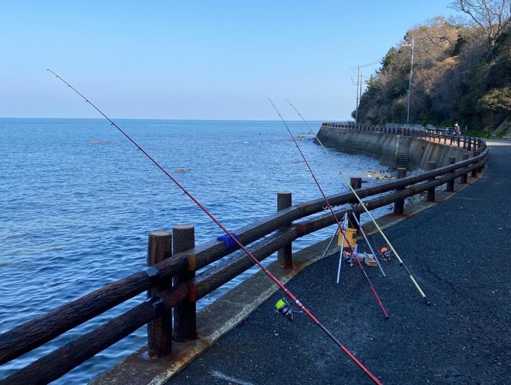 花見カレイ、アイナメ、五目釣り