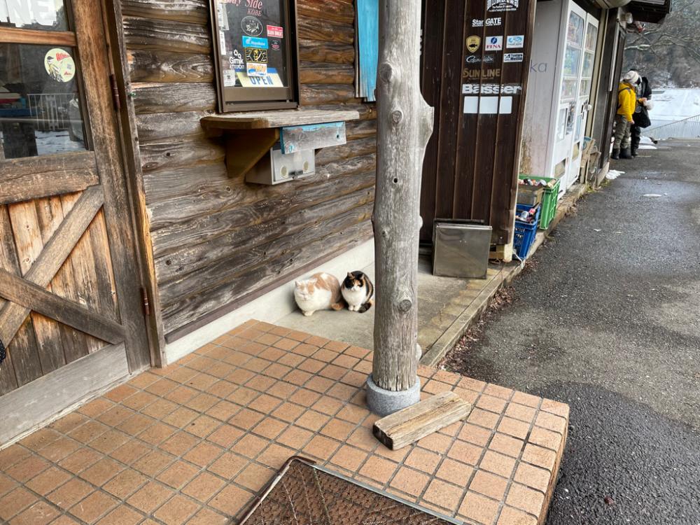 ワカサギ釣りにハマる 生野銀山湖