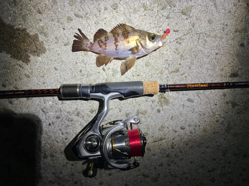 癒しのメバリング