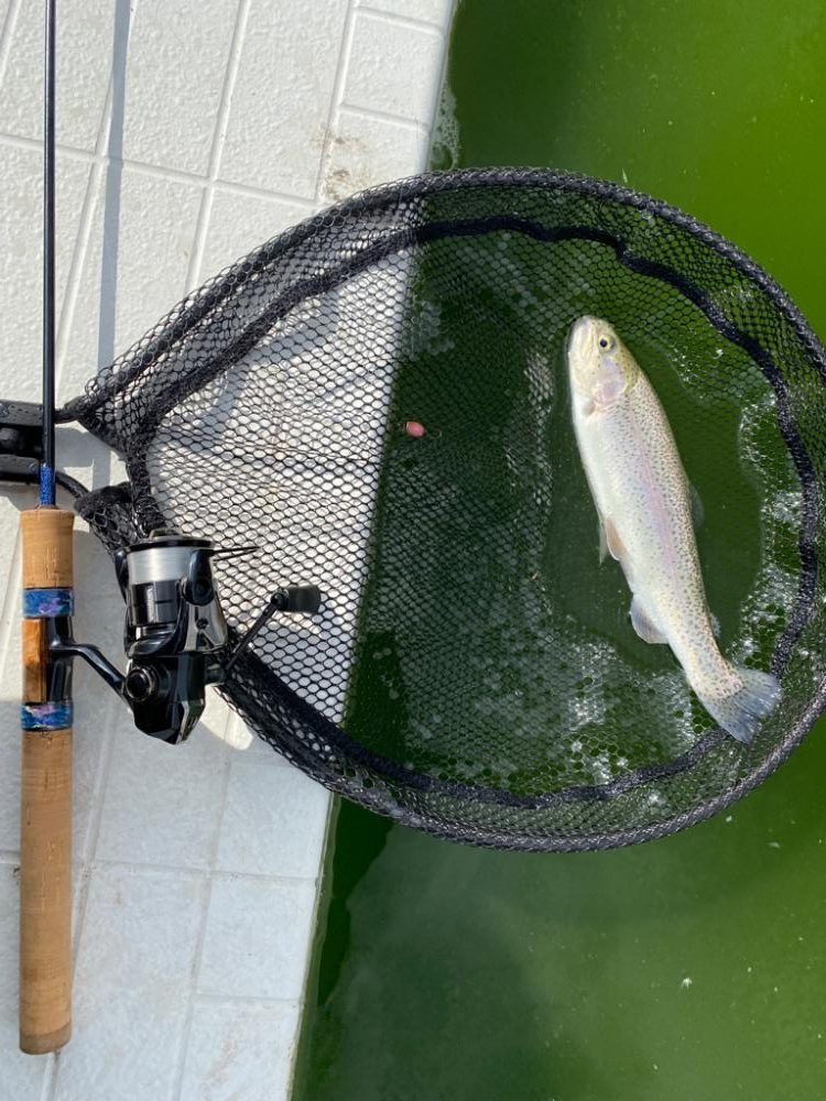 服部緑地攻略戦線