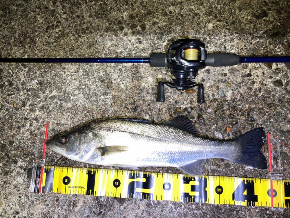 【メバリング】フロートメバリング