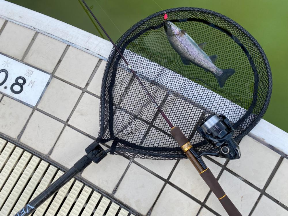 かめプー放流日