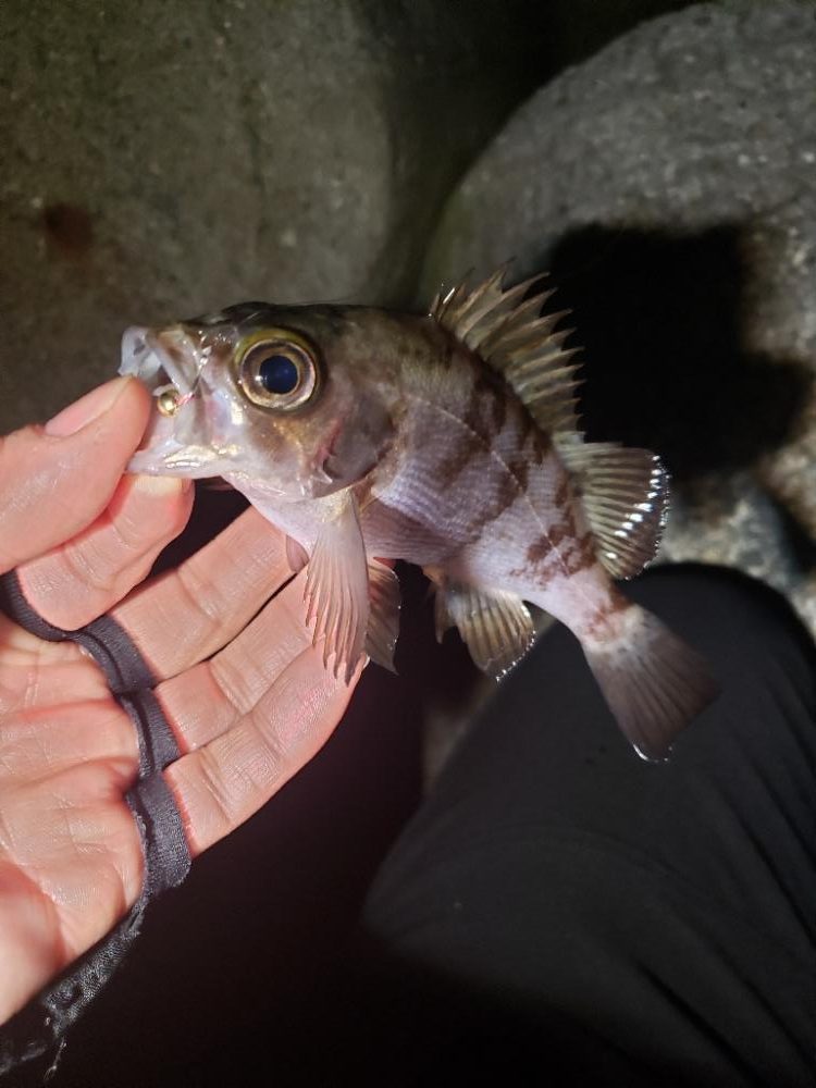 ディープ・パープルがお好きな様で