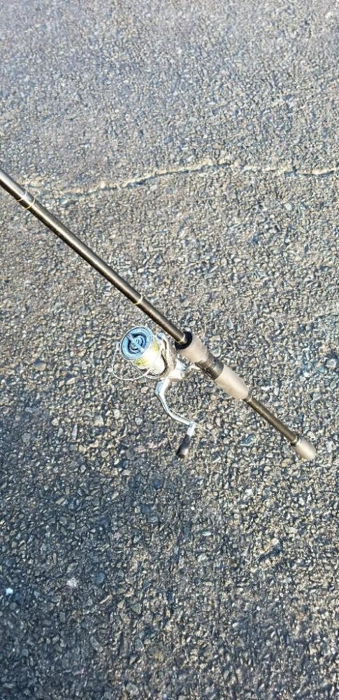 最後に釣れた大物