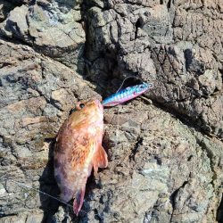 久しぶりのホーム