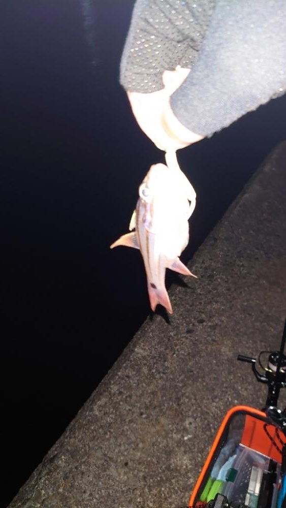 周りが釣れていない中で