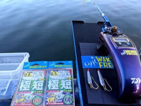 愛知県入鹿池ボート ワカサギ釣り！