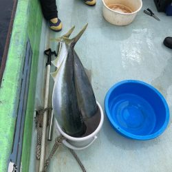 浅川沖でメジロなど