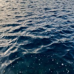 堤防グレ限界サイズ