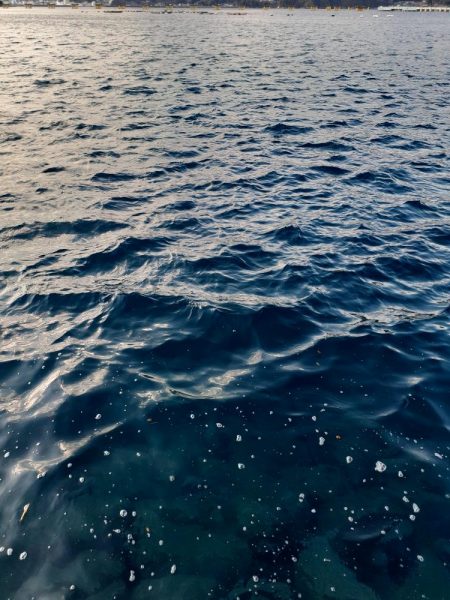 堤防グレ限界サイズ