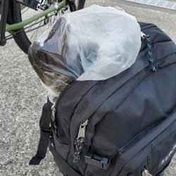 それでもやっぱり会いに行く。