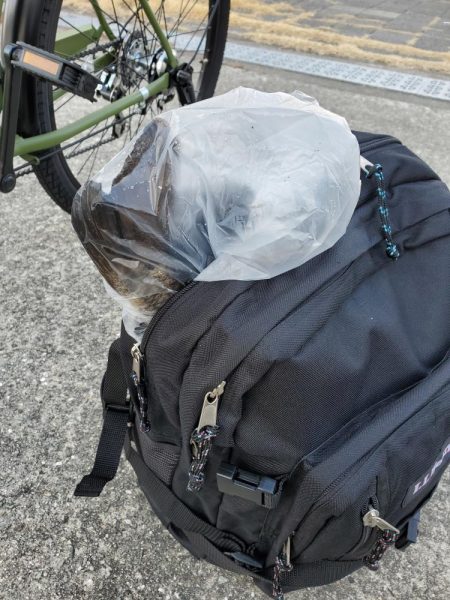 それでもやっぱり会いに行く。