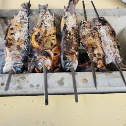 既成概念崩壊釣行記