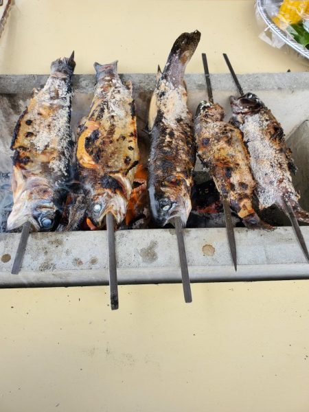 既成概念崩壊釣行記