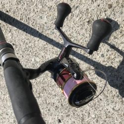 ジグサビキで真イワシ&アジ釣り