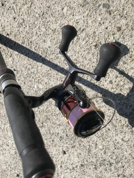 ジグサビキで真イワシ&アジ釣り