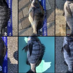 イチノ兄弟、釣果！