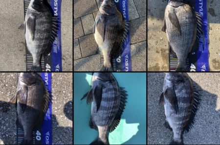 イチノ兄弟、釣果！