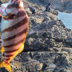 和歌山市江（吉丸渡船）で磯フカセ