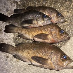 アワジング投稿再開します!