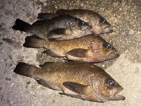 アワジング投稿再開します！