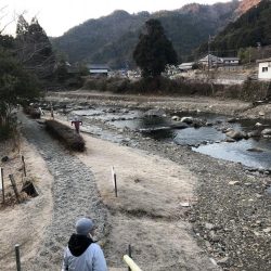 トラウトゲーム