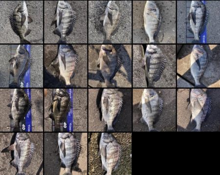 イチノ兄弟、釣果!