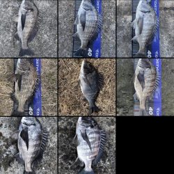 イチノ兄弟、釣果！