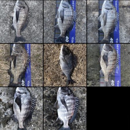 イチノ兄弟、釣果！