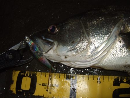 ひたすらスローに