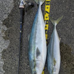 ノマセで90オーバーブリ