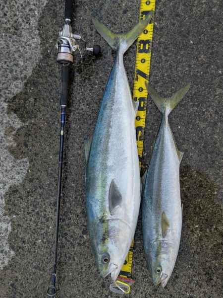 ノマセで90オーバーブリ