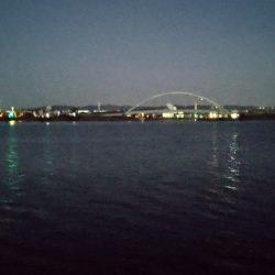 予想外のタチウオ