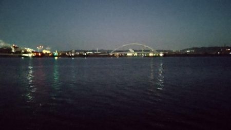 予想外のタチウオ