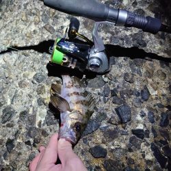 寒空の下でメバリング