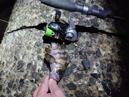 寒空の下でメバリング