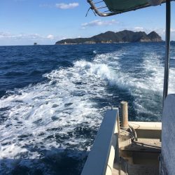 たかたか釣り日記