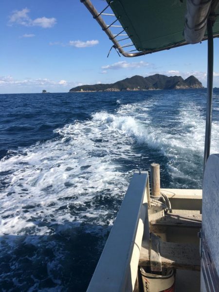 たかたか釣り日記