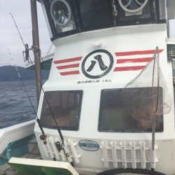 たかたか釣り日記