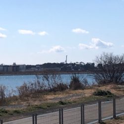 バルトの威力Ⅱ(丸飲み)