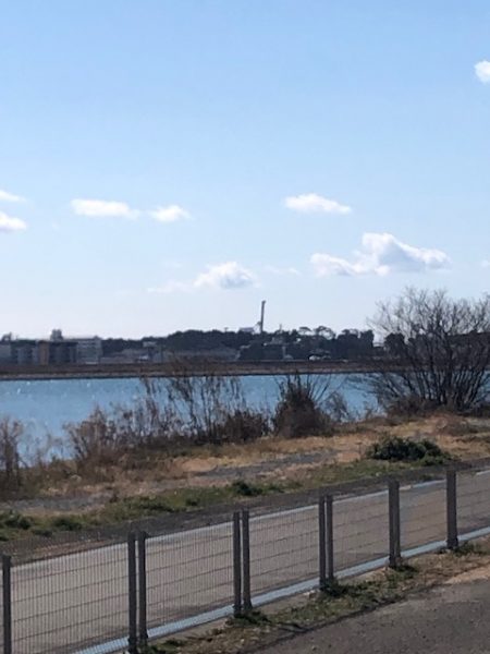 バルトの威力Ⅱ(丸飲み)