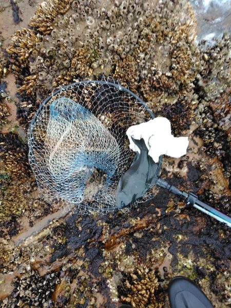 フカセ‥最高ですネ・・