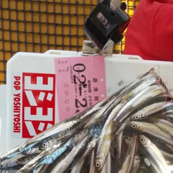 河口湖さかなやドームワカサギ釣り