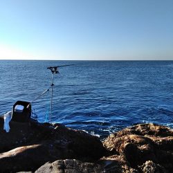 フカセ‥最高ですネ・・