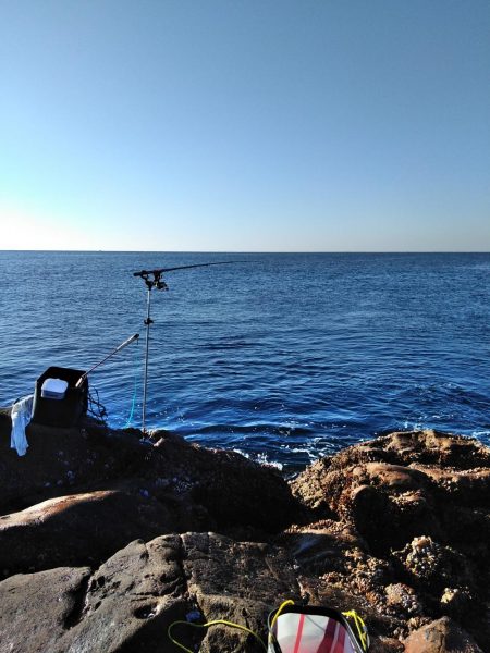 フカセ‥最高ですネ・・