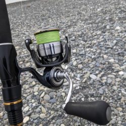 ヒラメ狙いで、まさかの…