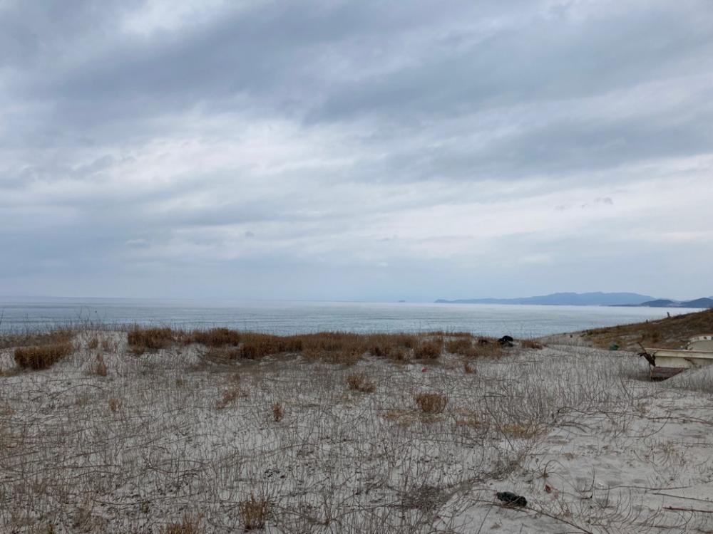 吹上浜ブリついに‥