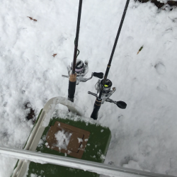 今年初トラウト!