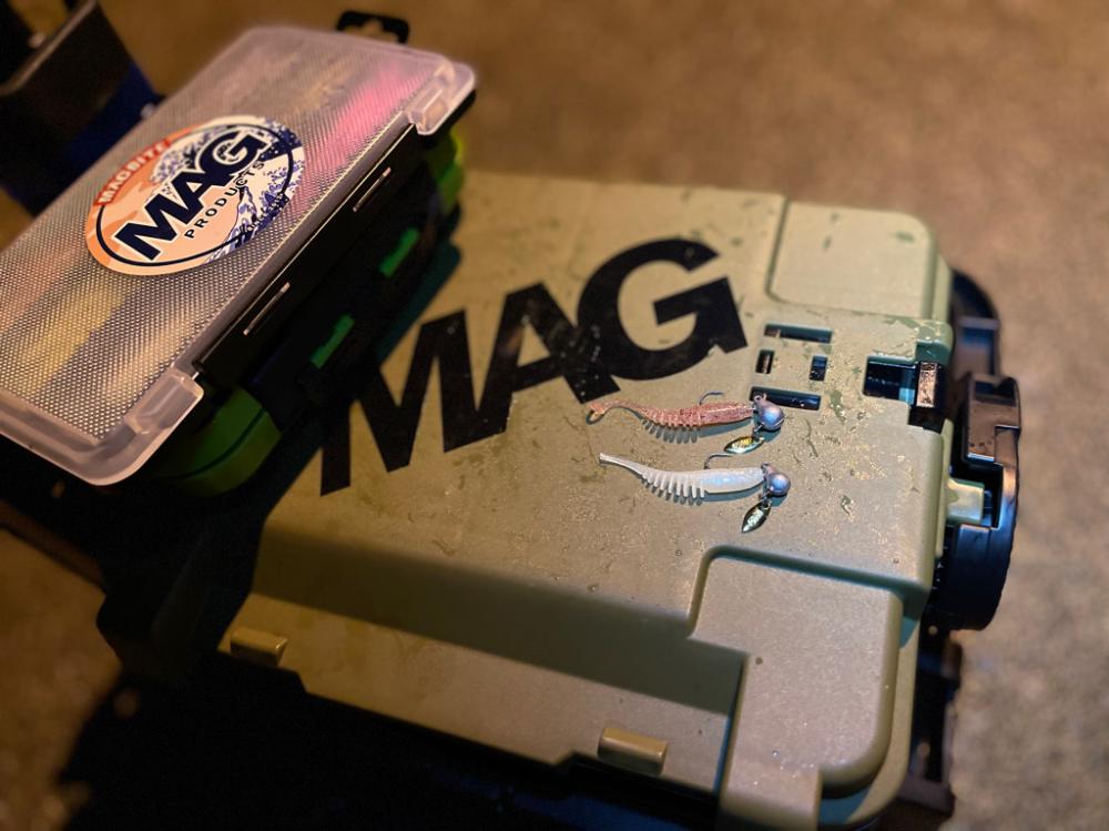 価値のある1匹。